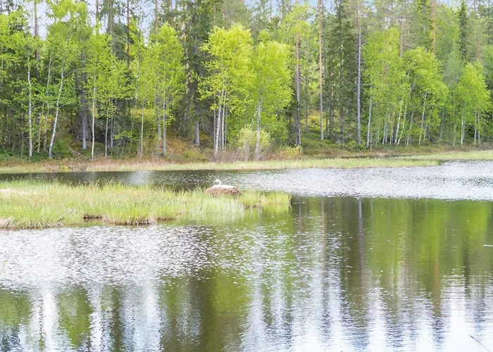 Kotimoekki By Interhome * Sotkamo